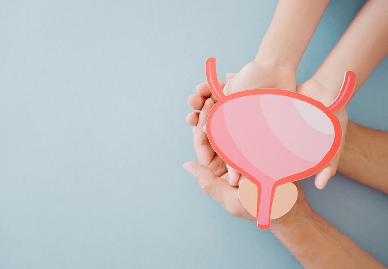 Hands-holding-a-model-of-the-bladder,-representing-bladder-cancer