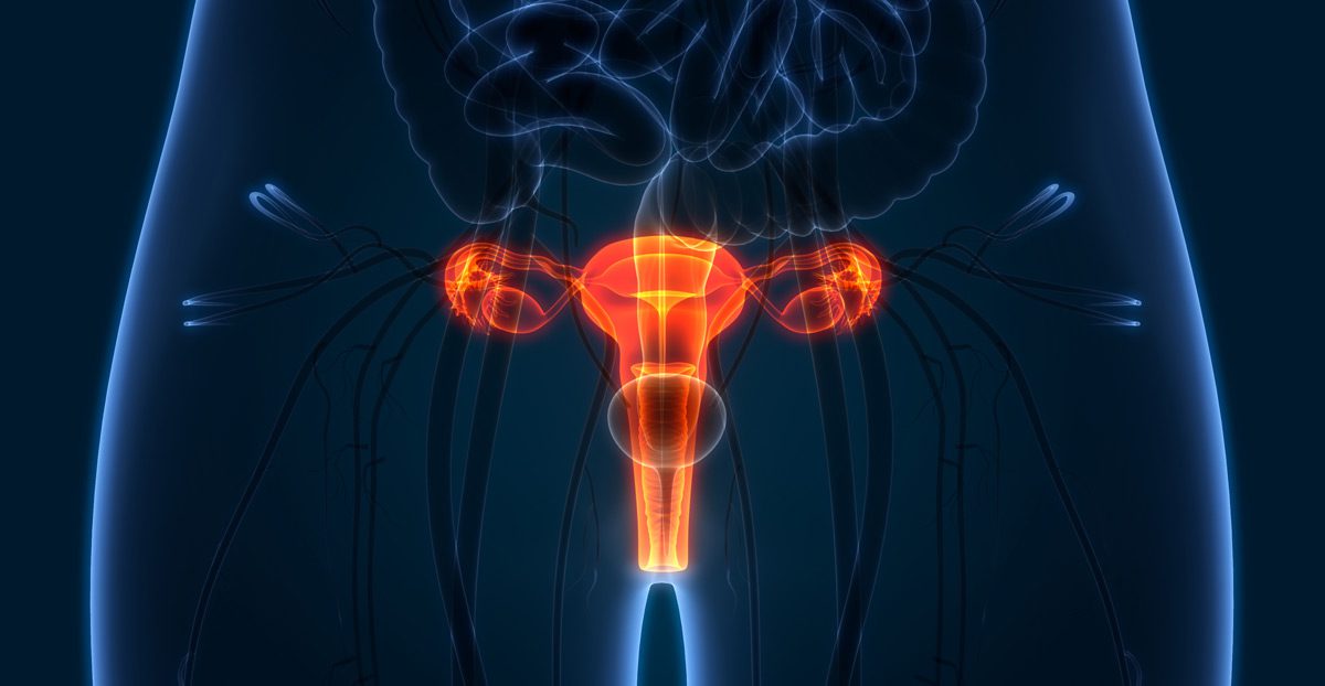 Illustration-of-urinary-system