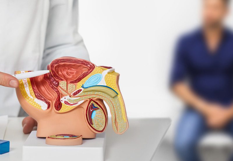 Urologist-consultation-for-male-patient